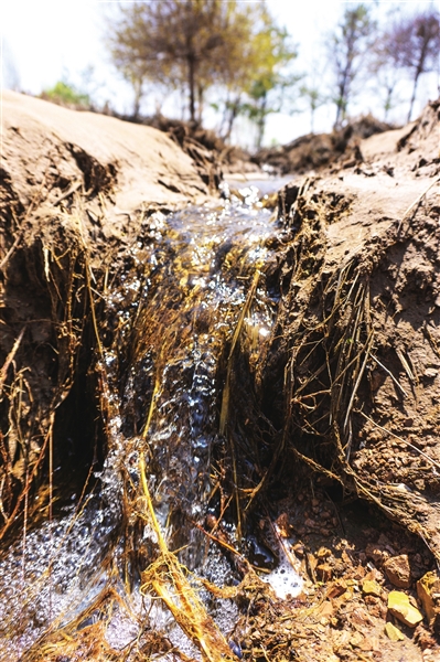     積水形成的沼澤四處可見汪汪流水。