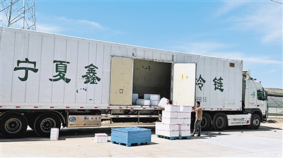     冷涼蔬菜通過冷鏈物流銷往南方市場。