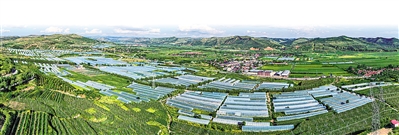     沿河谷川道區(qū)打造冷涼蔬菜產(chǎn)業(yè)帶。