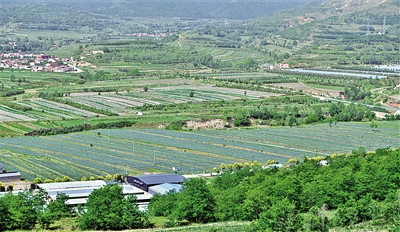     農(nóng)田與山川構(gòu)成一幅鄉(xiāng)村振興畫(huà)卷。