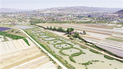 <p>　　葫蘆河兩岸良田千頃，一幅山清水秀的田園畫卷。</p>