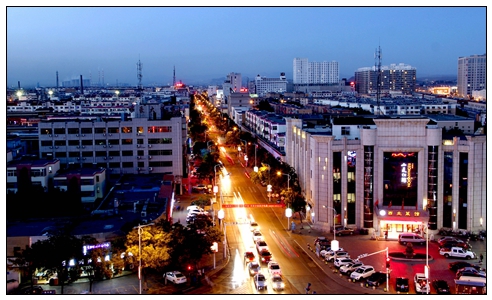 惠農(nóng)夜景--胡炳華、58歲、電話13995322811.jpg