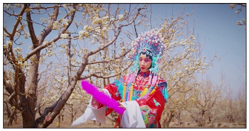 梨花節(jié)風采.jpg