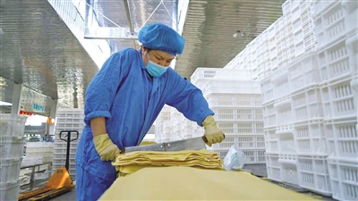 <p>　　寧夏興豆緣豆制品有限公司工人正在切割豆皮。</p>
