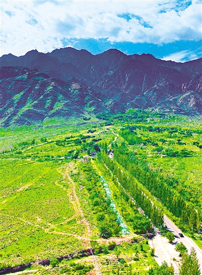     綠色——賀蘭山，寧夏的父親山。隨著近年來賀蘭山生態(tài)保衛(wèi)戰(zhàn)的打響，賀蘭山生態(tài)逐步恢復(fù)，是寧夏踐行“綠水青山就是金山銀山”理念的生動(dòng)寫照。     本報(bào)記者 馬楠 攝