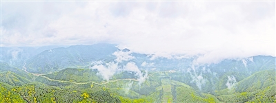     清晨，薄霧籠罩六盤山。