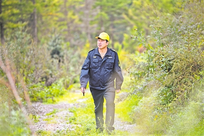     護林員馬成君踏上巡山路。